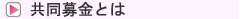 共同募金とは